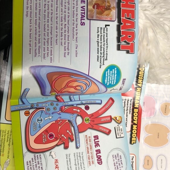 ☀︎︎<{𝚂𝚚𝚞𝚒𝚜𝚑𝚢 𝙷𝚞𝚖𝚊𝚗 𝙱𝚘𝚍𝚢}>☀︎︎ - Picture 5 of 5